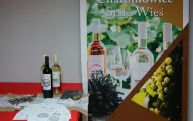 &bdquo;Łączy nas Opatowiec&rdquo; - ciekawe wydarzenie z historią w tle 51