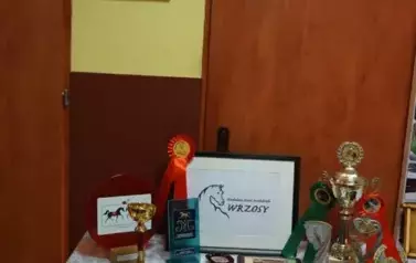 &bdquo;Łączy nas Opatowiec&rdquo; - ciekawe wydarzenie z historią w tle 57
