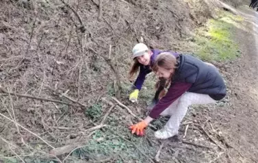 Sprzątanie świata w Gminie Opatowiec 2025 10
