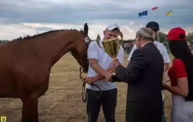XXV Championat Koni - Aparat 1 31