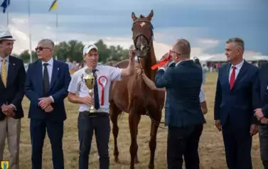 XXV Championat Koni - Aparat 1 34