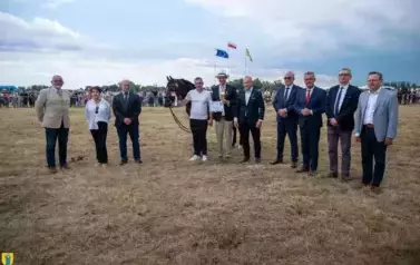 XXV Championat Koni - Aparat 1 42