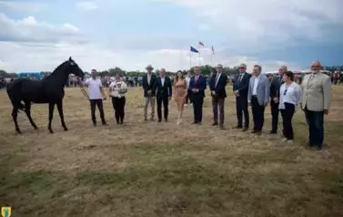 XXV Championat Koni - Aparat 1 43
