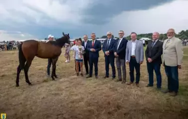 XXV Championat Koni - Aparat 1 44