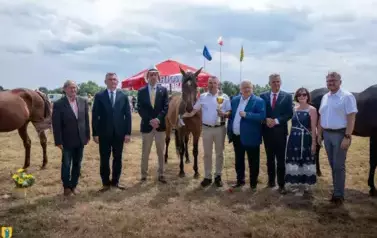 XXV Championat Koni - Aparat 1 86