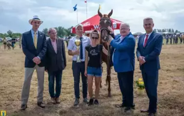 XXV Championat Koni - Aparat 1 87