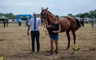XXV Championat Koni - Aparat 1 88