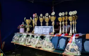 XXV Championat Koni - Aparat 1 89