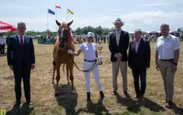 XXV Championat Koni - Aparat 1 115