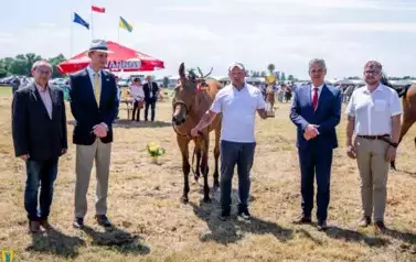 XXV Championat Koni - Aparat 1 119
