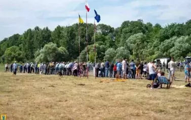XXV Championat Koni - Aparat 1 214