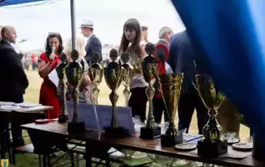 XXV Championat Koni - Aparat 1 250