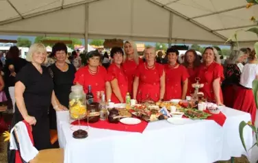 XXV Championat Koni - Aparat 2 68