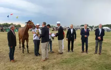 XXV Championat Koni - Aparat 2 73