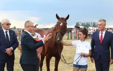 XXV Championat Koni - Aparat 2 75