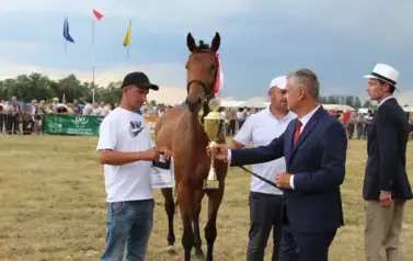 XXV Championat Koni - Aparat 2 77