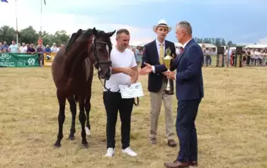 XXV Championat Koni - Aparat 2 87