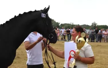 XXV Championat Koni - Aparat 2 88