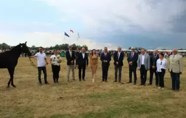 XXV Championat Koni - Aparat 2 89