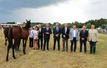 XXV Championat Koni - Aparat 2 93