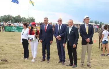 XXV Championat Koni - Aparat 2 95