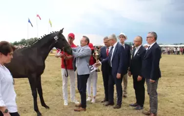 XXV Championat Koni - Aparat 2 97