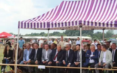 XXV Championat Koni - Aparat 2 121