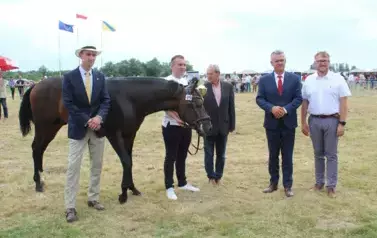 XXV Championat Koni - Aparat 2 131