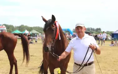 XXV Championat Koni - Aparat 2 139