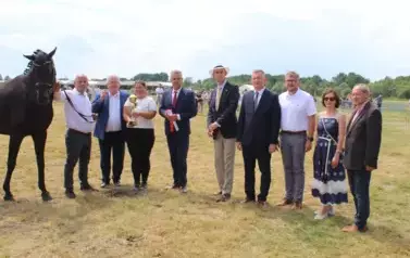 XXV Championat Koni - Aparat 2 140