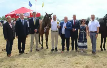 XXV Championat Koni - Aparat 2 142