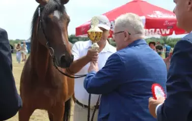 XXV Championat Koni - Aparat 2 143