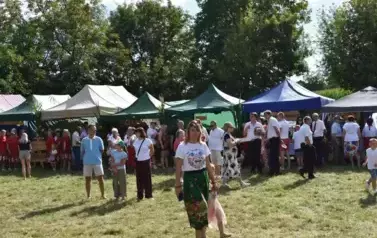 Aparat 1 - Dożynki Gminne w Kocinie - rolnicy podziękowali za plony 91
