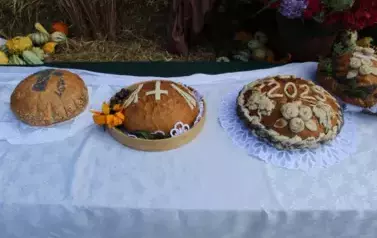 Aparat 2 - Dożynki Gminne w Kocinie - rolnicy podziękowali za plony 176