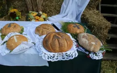 Aparat 2 - Dożynki Gminne w Kocinie - rolnicy podziękowali za plony 179