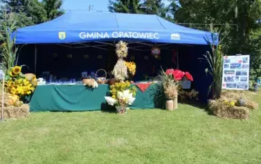 Aparat 3 - Dożynki Gminne w Kocinie - rolnicy podziękowali za plony 1