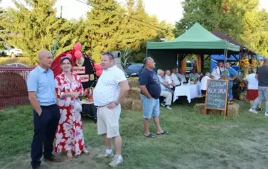 Aparat 3 - Dożynki Gminne w Kocinie - rolnicy podziękowali za plony 23