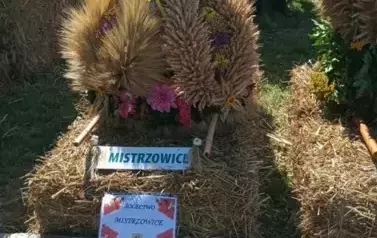 Aparat 3 - Dożynki Gminne w Kocinie - rolnicy podziękowali za plony 114