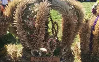 Aparat 3 - Dożynki Gminne w Kocinie - rolnicy podziękowali za plony 115