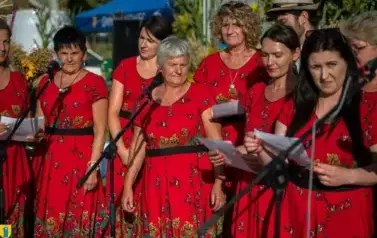 Fotorelacja z Dożynek Gminnych w Kocinie cz.2 3