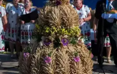 Fotorelacja z Dożynek Gminnych w Kocinie cz.2 61