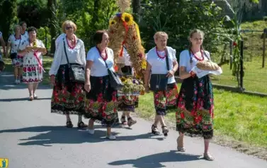 Fotorelacja z Dożynek Gminnych w Kocinie cz.1 50