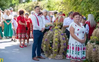 Fotorelacja z Dożynek Gminnych w Kocinie cz.1 71