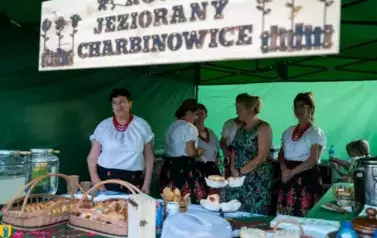 Fotorelacja z Dożynek Gminnych w Kocinie cz.1 87