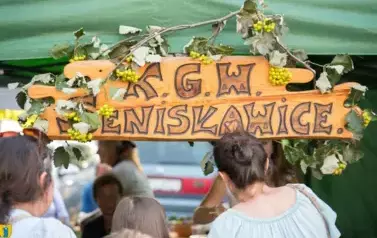 Fotorelacja z Dożynek Gminnych w Kocinie cz.1 133