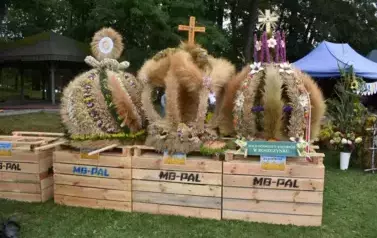 Dożynki Gminno-Powiatowe w Czarnocinie 41