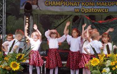 XXVI Świętokrzyski Młodzieżowy Championat Koni Małopolskich w Opatowcu - święto hodowc&oacute;w, tradycji i dobrej zabawy - aparat 2 85