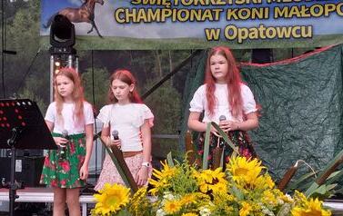 XXVI Świętokrzyski Młodzieżowy Championat Koni Małopolskich w Opatowcu - święto hodowc&oacute;w, tradycji i dobrej zabawy - aparat 3 9