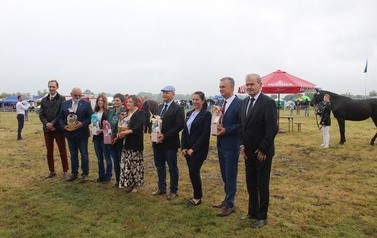 XXVI Świętokrzyski Młodzieżowy Championat Koni Małopolskich w Opatowcu - święto hodowc&oacute;w, tradycji i dobrej zabawy - aparat 3 49