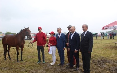 XXVI Świętokrzyski Młodzieżowy Championat Koni Małopolskich w Opatowcu - święto hodowc&oacute;w, tradycji i dobrej zabawy - aparat 3 57